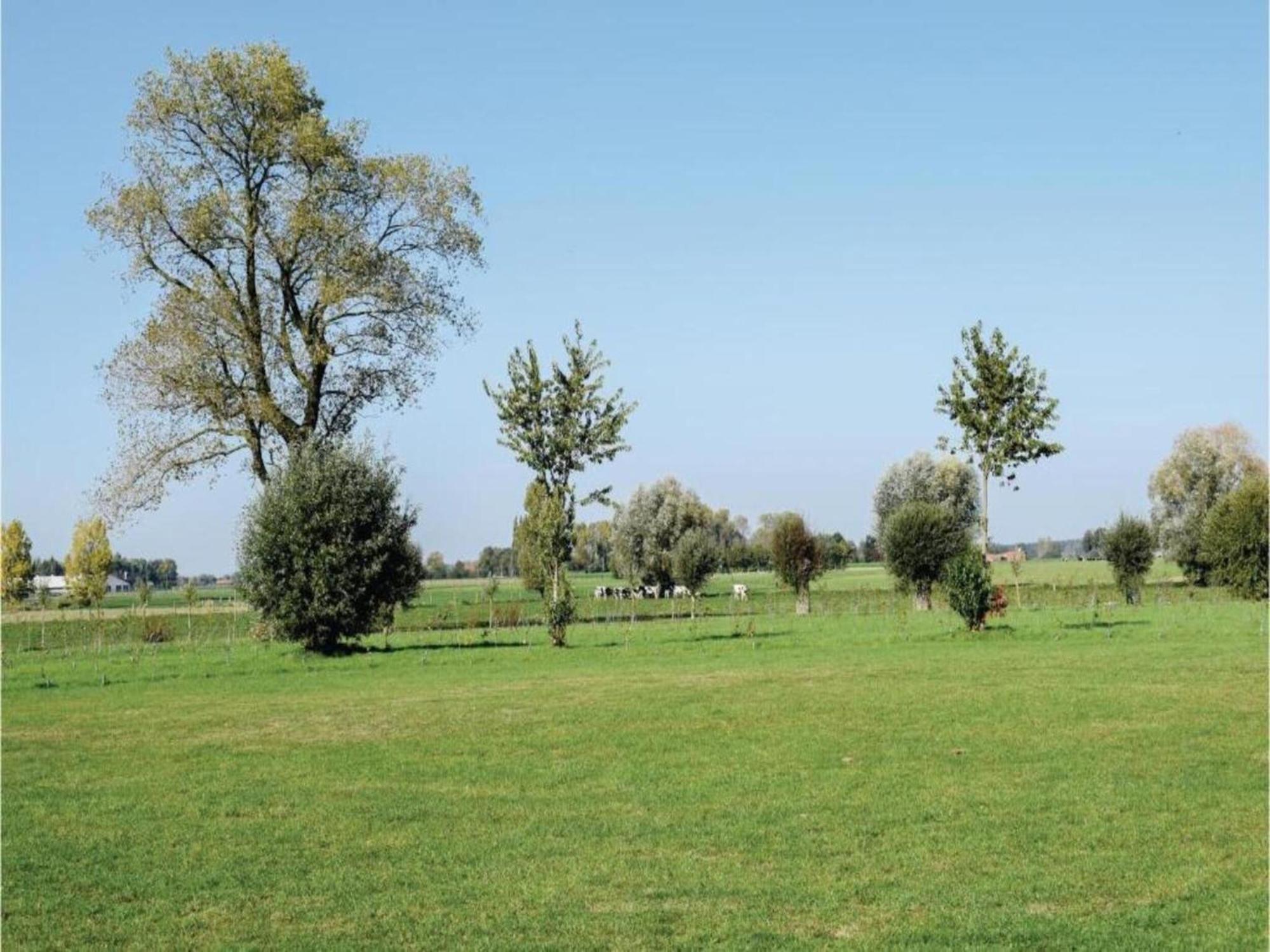 Studio In Ieper With Terrace Eksteriør billede